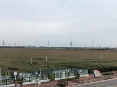 <b>河南安阳县瓦店镇高尺度农田示范区内玉米长势</b>